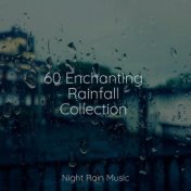 60 Enchanting Rainfall Collection