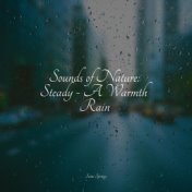 Sounds of Nature: Steady - A Warmth Rain