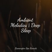 Ambient Melodies | Deep Sleep