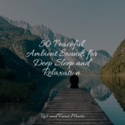 50 Peaceful Ambient Sounds for Deep Sleep and Relaxation
