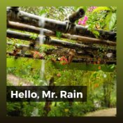 Hello, Mr. Rain