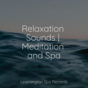 Relaxation Sounds | Meditation and Spa