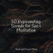 50 Rejuvenating Sounds for Spa & Meditation