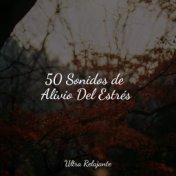 50 Sonidos de Alivio Del Estrés