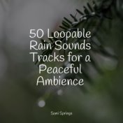 50 Loopable Rain Sounds Tracks for a Peaceful Ambience
