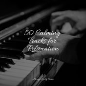 50 Calming Tracks for Relaxation