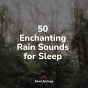 50 Enchanting Rain Sounds for Sleep