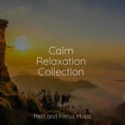 Calm Relaxation Collection