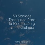 50 Sonidos Tranquilos Para la Meditación y El Mindfulness