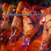 44 Meditation And Study Tracks