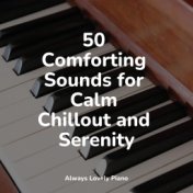 50 Comforting Sounds for Calm Chillout and Serenity