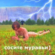 Сосите муравьи