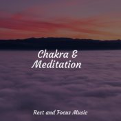 Chakra & Meditation