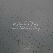 50 Soothing Rain Tracks