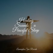 Healing Sounds | a Peaceful Sleep