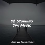 50 Stunning Spa Music