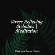 Stress Relieving Melodies | Meditation