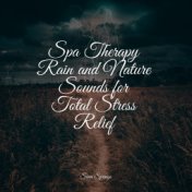 Spa Therapy Rain and Nature Sounds for Total Stress Relief
