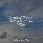 Sounds of Nature | Chilling Out Music | Sleep