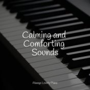 Calming and Comforting Sounds