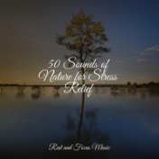 50 Sounds of Nature for Stress Relief