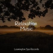 Relaxation Music