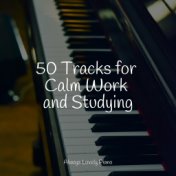 50 Tracks for Calm Work and Studying
