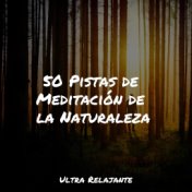 50 Pistas de Meditación de la Naturaleza