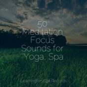 50 Meditation Focus Sounds for Yoga, Spa