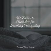 50 Delicate Melodies for Soothing Tranquility