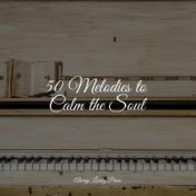 50 Melodies to Calm the Soul