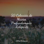 50 Colección de Música Profundamente Relajante