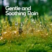 Gentle and Soothing Rain
