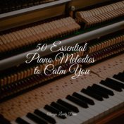 50 Essential Piano Melodies to Calm You