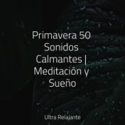 Primavera 50 Sonidos Calmantes | Meditación y Sueño