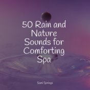 50 Rain and Nature Sounds for Comforting Spa