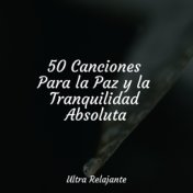 50 Canciones Para la Paz y la Tranquilidad Absoluta