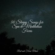 50 Sleepy Songs for Spa & Meditation Focus