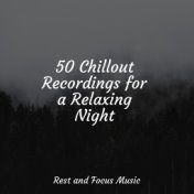 50 Chillout Recordings for a Relaxing Night