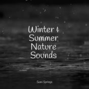 Winter & Summer Nature Sounds