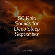 50 Rain Sounds for Deep Sleep September
