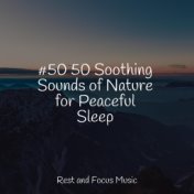 #50 50 Soothing Sounds of Nature for Peaceful Sleep