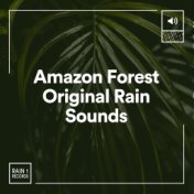 Amazon Forest Original Rain Sounds