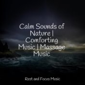 Calm Sounds of Nature | Comforting Music | Massage Music