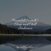 Powerful Sounds | Sleep and Chill Ambience