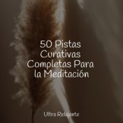 50 Pistas Curativas Completas Para la Meditación