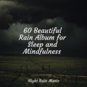 60 Beautiful Rain Album for Sleep and Mindfulness