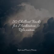 50 Chillout Tracks for Meditation & Relaxation