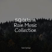 50 Warm Rain Music Collection