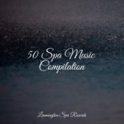 50 Spa Music Compilation